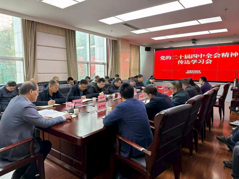 市信访局传达学习党的二十届四中全会精神